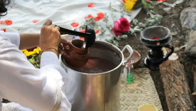 Ayahuasca: Geleneksel İlaç mı Yoksa Tehlikeli Bir Uyuşturucu mu?