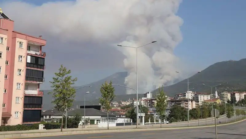Denizli'de Orman Yangını: Gözaltında Şüpheli İddiası Urganları Gerdiriyor