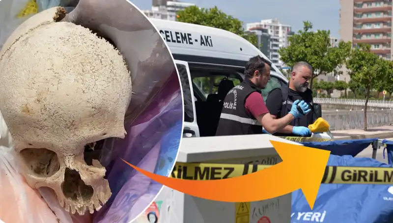 Gizemli Kafatasının Sırrı: Uzman Doktor Gözaltına Alındı!