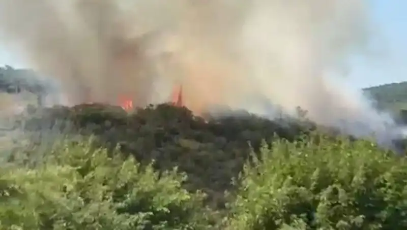 İstanbul'da Orman Yangını: Acil Tahliye Süreci Başladı