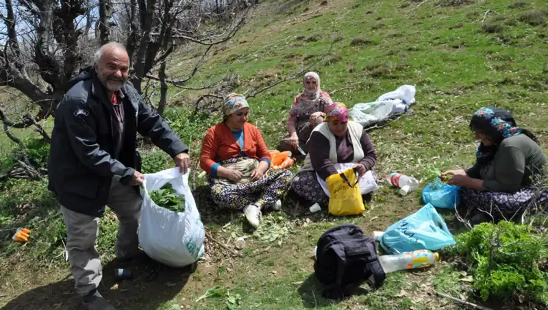 Doğa ile Mücadele: 5 Saat Yürüyerek Toplanan Kilosu 250 Liralık Mucize