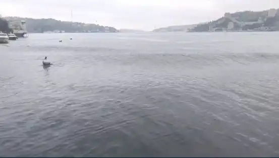 İstanbul'u Sarsan Deprem: 6,2 Büyüklüğünde Şok Edici Sarsıntı