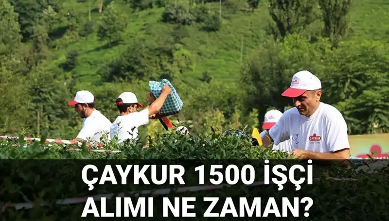 Çaykur İşçi Alımı Başvuru Tarihleri ve Son Durum Detayları Açıklandı