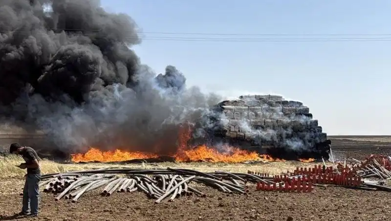 Mardin'de Anız Yangını: Tarım Alanları Tehlikede, Çiftçilerin Endişesi Büyüyor