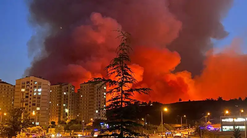 Bursa'da Korkutan Yangınlar: Şehirde Neler Oluyor?