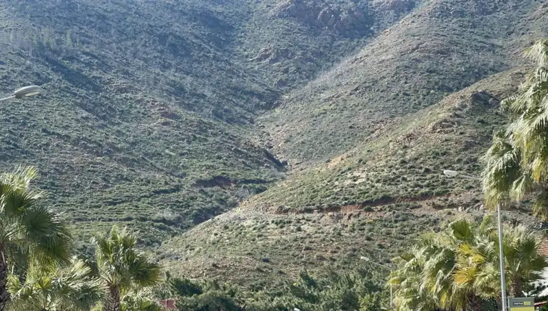 Marmaris Ormanları Yeniden Canlanıyor: Yangın Sonrası İlk Fidanlar Boy Attı
