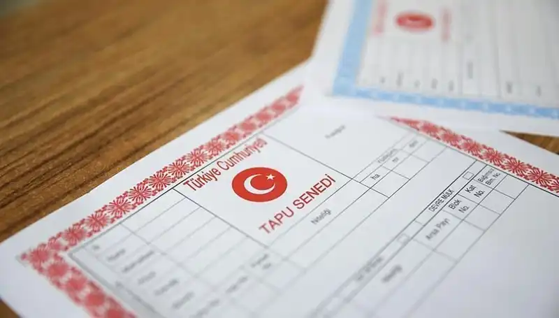 Hisseli Tapu Yalanıyla 100 Milyonluk Dolandırıcılık Ağı Ortaya Çıktı