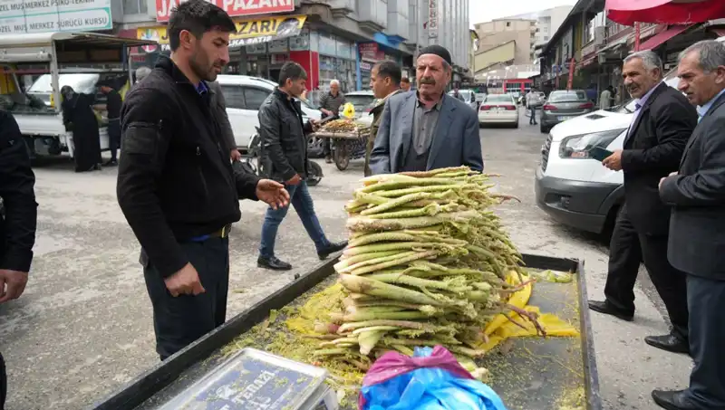Dağlık Alanların Eşsiz Şekeri: Kanser ve Mide Hastalıklarına İyi Geliyor