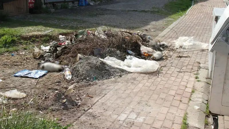 Antalya’da Gizemli Kedilerin Ölümü: Vahşet Gözler Önünde