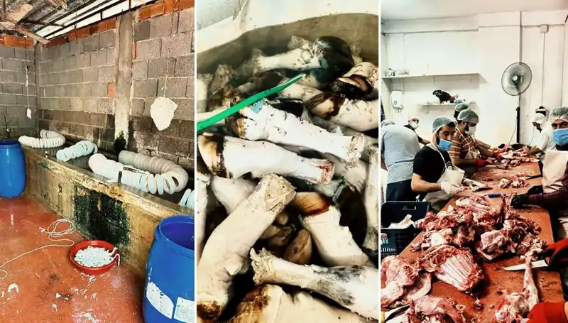 Adana'da Şok Eden Ele Geçirme: Yüzlerce Kilo Paça Ortaya Çıktı!