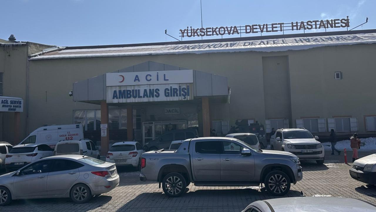 Müfettiş, Başıboş Köpeklerle İlgili Olayı İnceleyecek