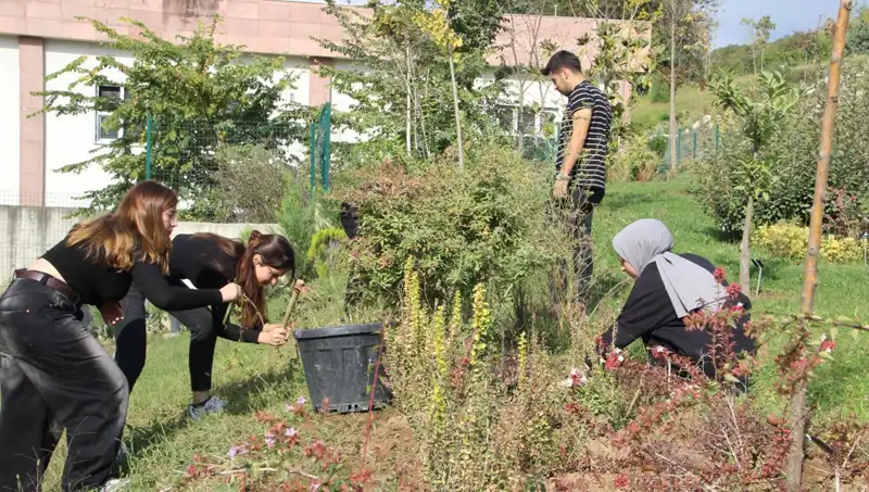 Düzce’nin Hayalini Gerçeğe Dönüştüren Proje: Dünya Çapında İlgi Topladı