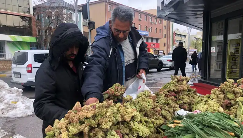Kendiliğinden Yetişen Vitamin Deposunun Kanserle Mücadele Edici Gücü