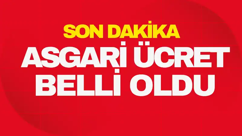 Türkiye'de Asgari Ücret Artışı: 2023 Yılı İçin Yeni Rakamlara Dikkat!