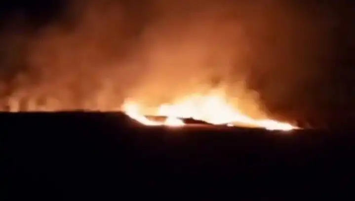 20 Dönüm Tarım Arazisi Alev Alev Yandı: Yangının Sebepleri Araştırılıyor