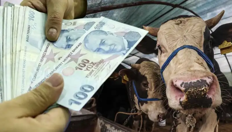 Bayram Öncesi Maaşlar Yatacak mı? Emekliler İçin Müjdeli Gelişme!