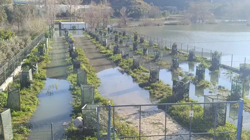 Irmak Taştı, Otoyol Şantiyesini Su Bastı: Bölgedeki Nefes Kesici Manzara