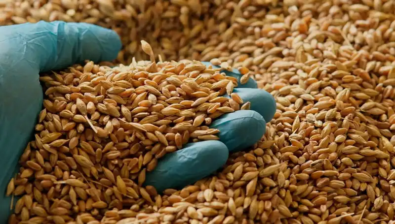 Uzman Doktorun Tavsiyeleriyle Kalp Hastalığı Riskini Azaltmanın Yolları