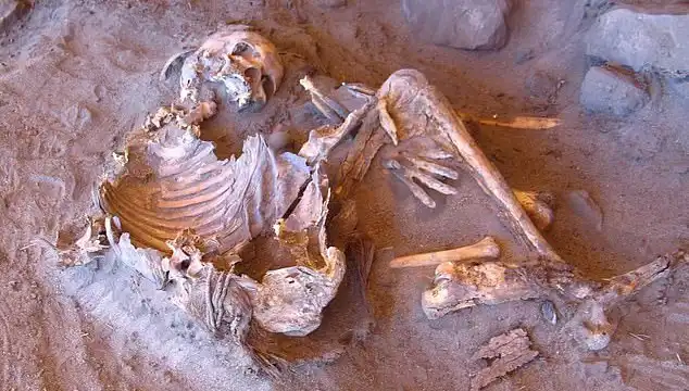 Yeni Mumya Keşfi, İnsanlığın Soy Ağacını Yeniden Yazıyor
