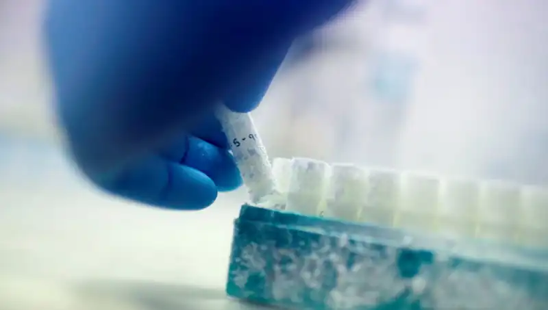 85 Sperm Donörü, Binlerce Çocuğa Baba Olmasının Arkasında Yatan Felaket!