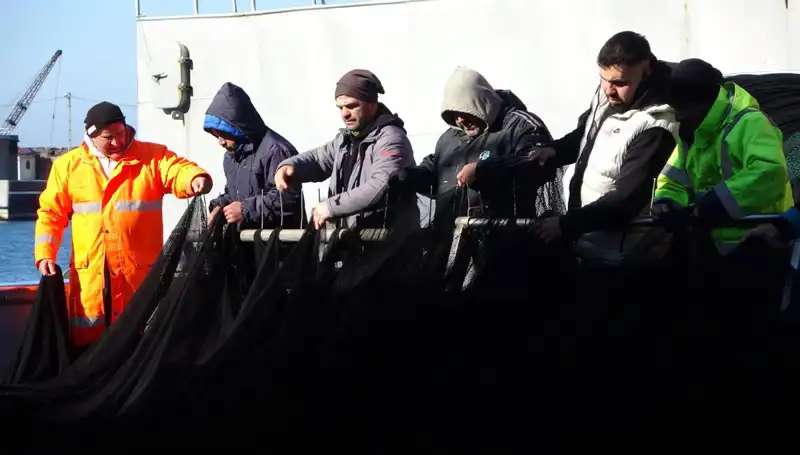 Denizlerde Hamsi Avı Krizi: Tekneler Neden Erken Paydos Etti?
