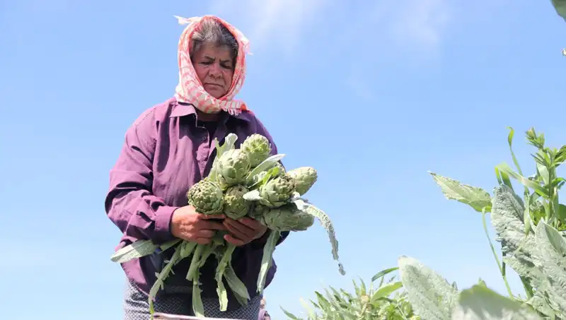 Tarladan Sofralara Gelen Lezzet: Tezgahta Tanesi 50 TL Olan Ürünler Neler?