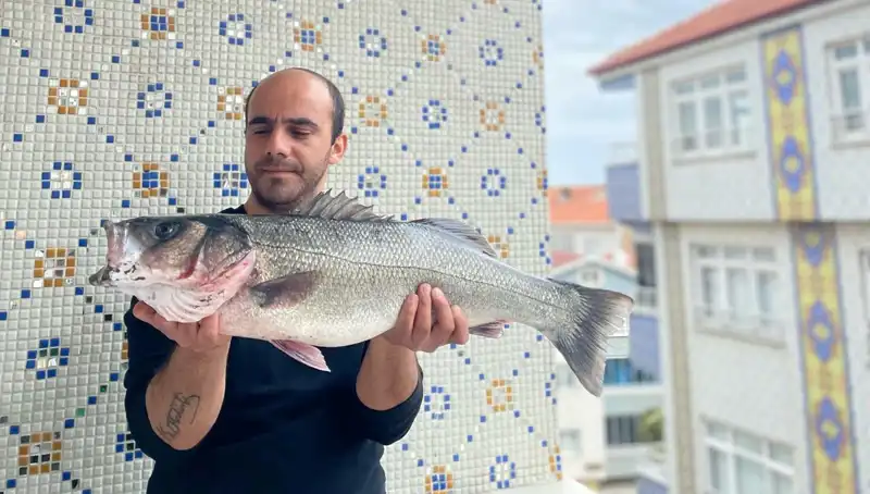 7,5 Kiloluk Dev Levrekle Balıkçıdan Unutulmaz Anlar