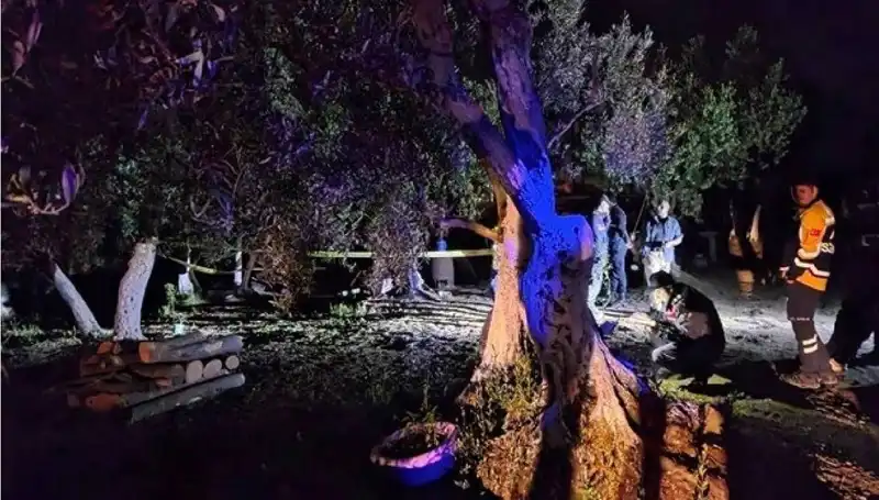 Çiftlikteki Baltalı Vahşet: Sır Perdesi Aralanıyor
