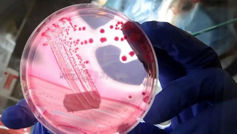 Yaşlanmayı Unutturan AP2A1 Proteini: Yeni Keşifler ve Etkileri