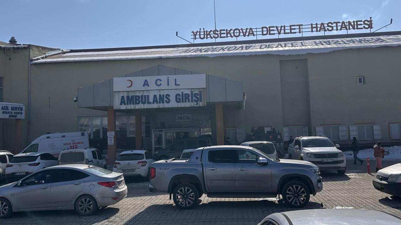 Hakkari'de Köpeklerin Saldırısına Uğrayan Çocuk Hayatını Kaybetti