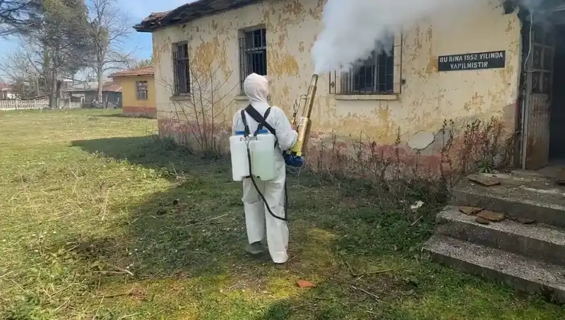 Çiftçilerin Kahverengi Kokarca Mücadelesi: Tarımda Tehdit ve Çözüm Yolları