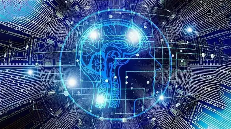 Kripto Para Dünyasında “Bot Sürüsü”: Dolandırıcılığı Tehdit Eden Yeni Bir Gerçek