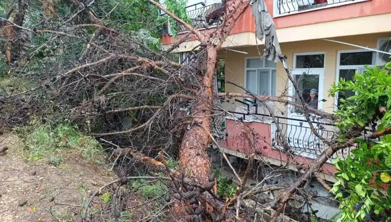 Gök Gürültüsü ve Yağmur, Eski Binayı Yıktı: Dramaya Tanıklık Edenler