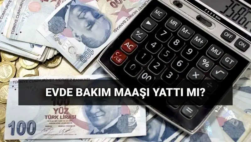 Evde Bakım Maaşı Sorgulama: Haziran Ödemeleri Ne Zaman Hesaplara Yatacak?