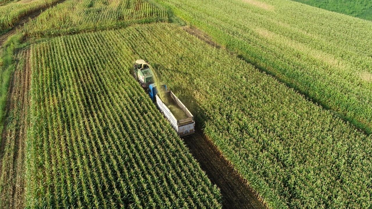Üreticilere 2,3 Milyarlık Destekleme Ödemesi Yapılacak